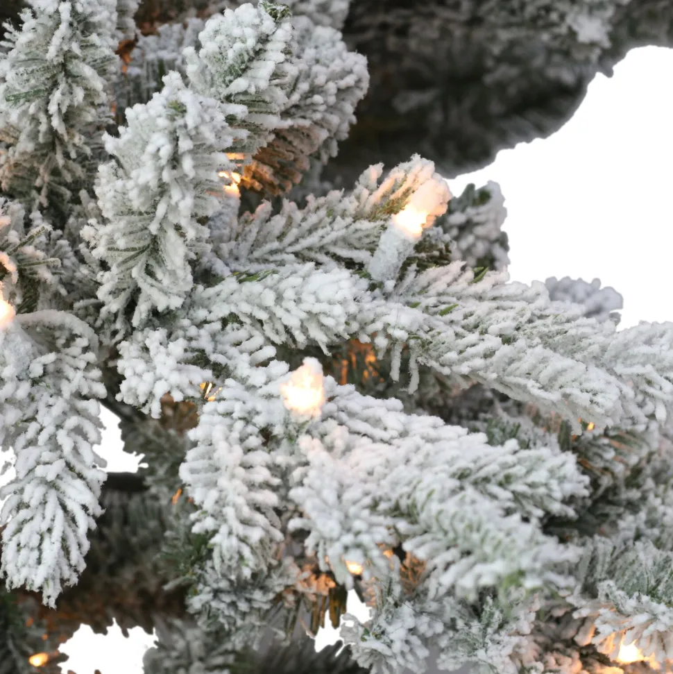 Cheap The Holiday Aisle 7' 5'' H Slender Green Pine Christmas Tree With 450 Lights