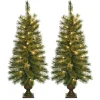 Best The Holiday Aisle 3.5' Green Artificial Christmas Tree With 35 Clear Lights With Urn Stand