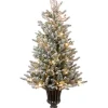 Best The Holiday Aisle 4' Green Fir Artificial Christmas Tree With 100 Clear Lights