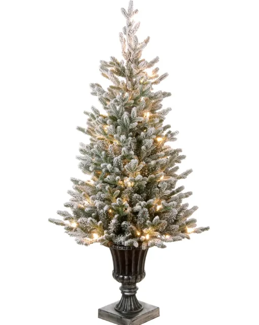 Best The Holiday Aisle 4' Green Fir Artificial Christmas Tree With 100 Clear Lights