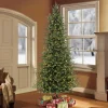 Sale The Holiday Aisle 9' Green Fir Trees Christmas Tree With 800 White Light