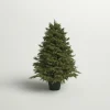 Discount Andover Mills 3' Green Pine Artificial Christmas Tree With 100 Clear Lights