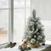 Outlet The Holiday Aisle 2' H Green Pine Frosted Christmas Tree With 35 Led Lights