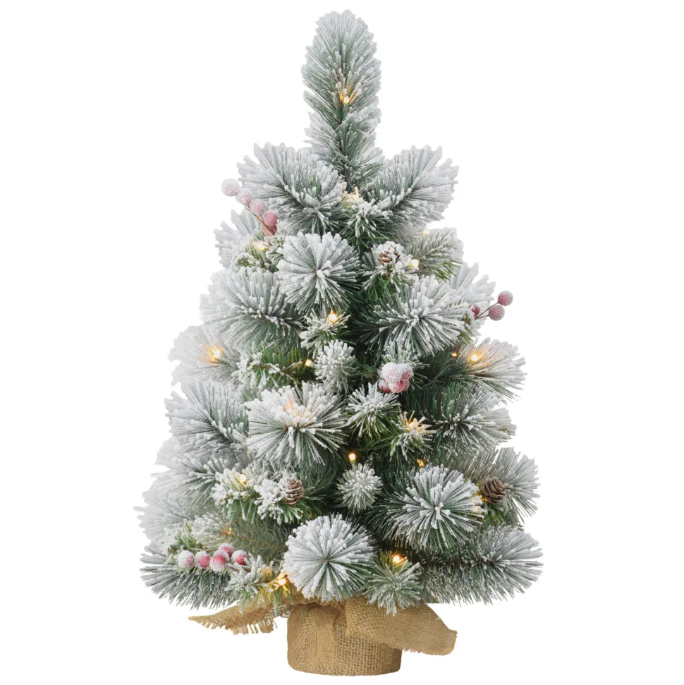 Outlet The Holiday Aisle 2' H Green Pine Frosted Christmas Tree With 35 Led Lights