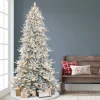 Discount The Holiday Aisle 7'5" H Green Realistic Artificial Fir Flocked/Frosted Christmas Tree With 700 Led Color Changing/Combination Lights