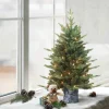 Online The Holiday Aisle 3' H Green Realistic Artificial Pine Christmas Tree With 50 Lights