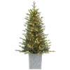 Online Haute Decor 4'6" H Green Realistic Spruce Artificial Christmas Tree With 200 Led Lights