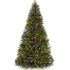 Hot The Holiday Aisle 6' H Green Tree Family Christmas Tree 250 Lights Led