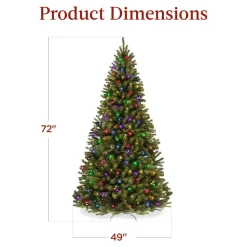 Hot The Holiday Aisle 6' H Green Tree Family Christmas Tree 250 Lights Led