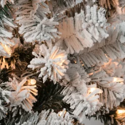 Best The Holiday Aisle 5'11'' H Slender Green Pine Flocked/Frosted Christmas Tree With 250 Lights