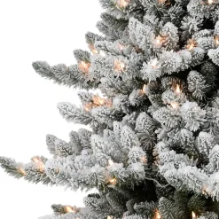 Fashion Sand & Stable 7'6