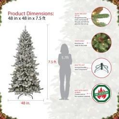 Fashion Sand & Stable 7'6