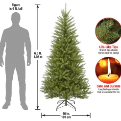 Clearance The Holiday Aisle Dunhill Fir 6'6'' H Slender Green Realistic Artificial Fir Christmas Tree With 500 Lights