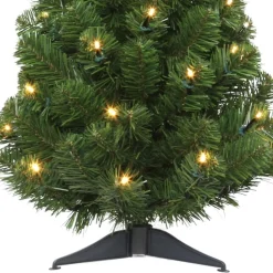Outlet The Holiday Aisle Green Fir Artificial Christmas Tree With Colored & Clear Lights