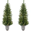Online Northlight Seasonal Pre-Lit Whitmire Pine Potted Artificial Christmas Trees 4' - Clear Lights