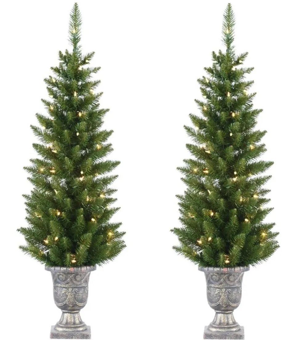 Online Northlight Seasonal Pre-Lit Whitmire Pine Potted Artificial Christmas Trees 4' - Clear Lights