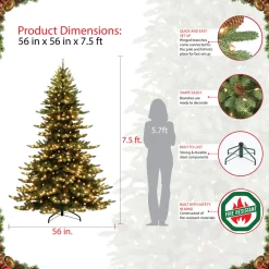 Discount The Holiday Aisle Royal Majestic 7.5' Green Spruce Artificial Christmas Tree With 700 Cool White Lights