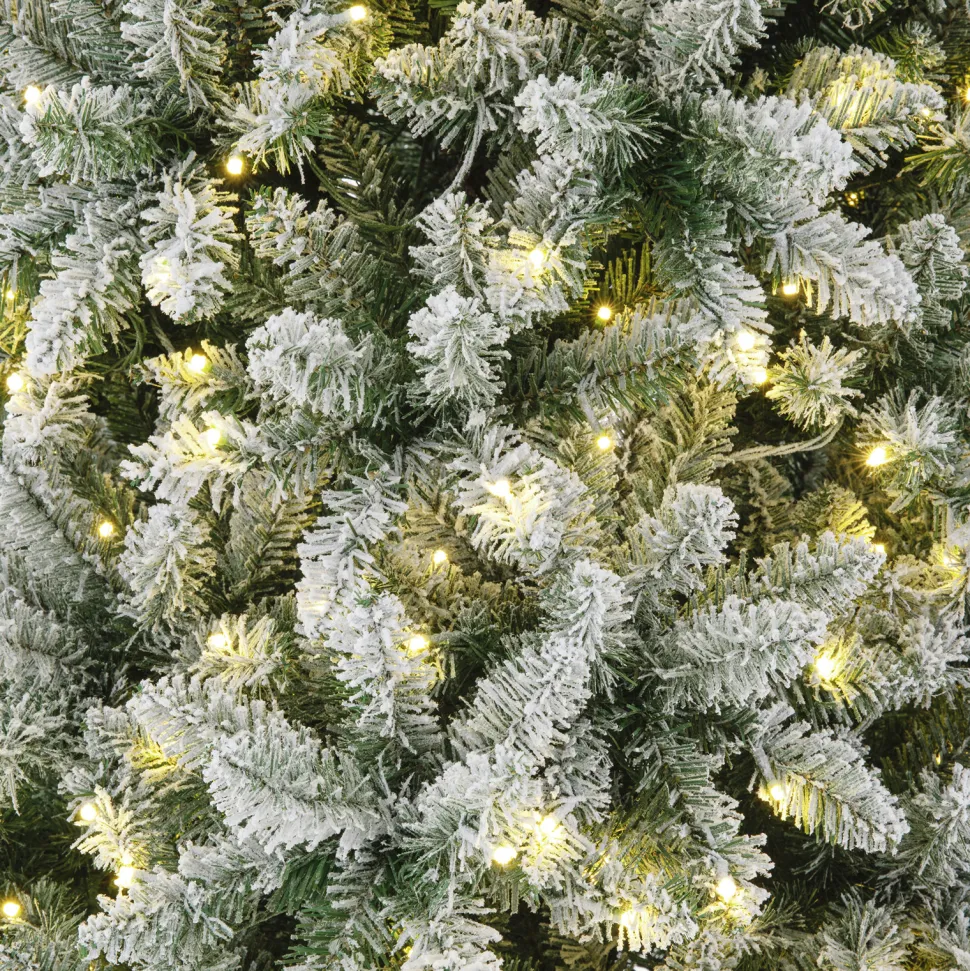 Hot The Holiday Aisle Slender Flocked/Frosted Pine Christmas Tree With Lights