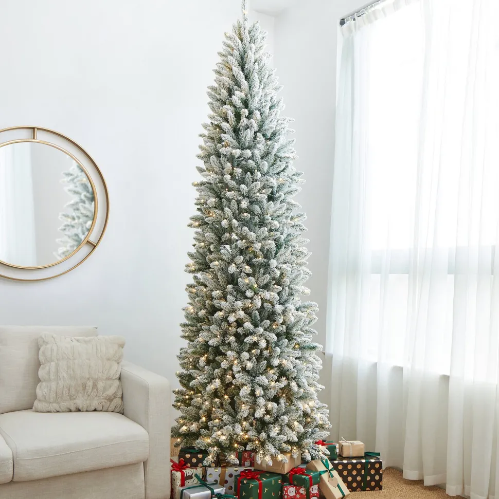 Hot The Holiday Aisle Slender Flocked/Frosted Pine Christmas Tree With Lights