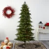 Fashion The Holiday Aisle South Carolina 8' Green Fir Artificial Christmas Tree With 650 Clear Lights